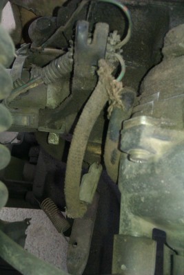 IMAG0502-2.jpg