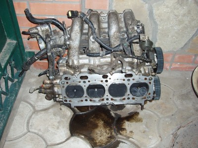 P4050792(2).jpg