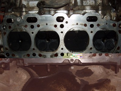 P4050793(2).jpg