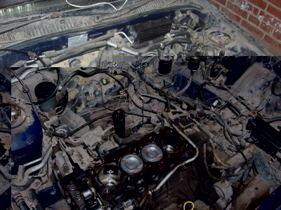 P4050794(2).jpg