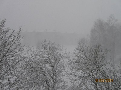 IMG_1920.JPG