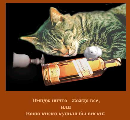 029_imidg.jpg