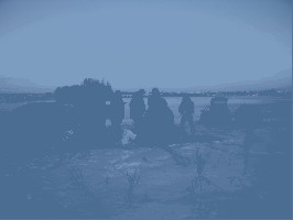 5.JPG