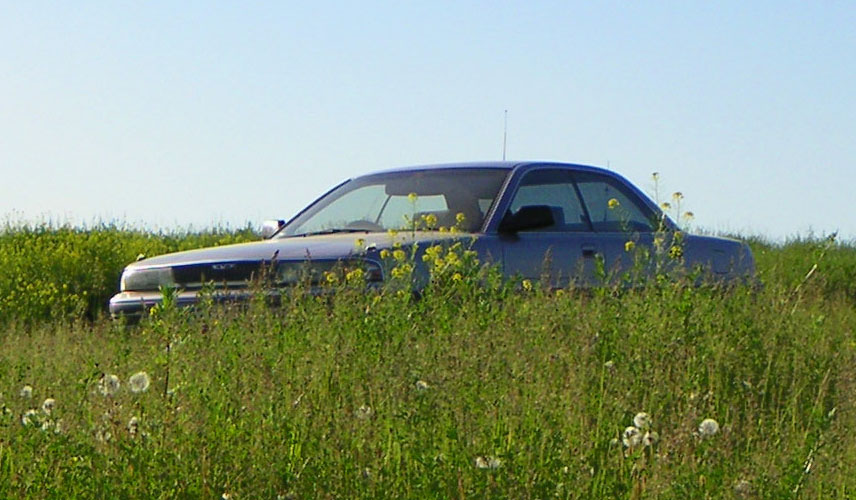 PICT0078.jpg