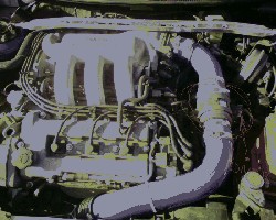 photo23.jpg