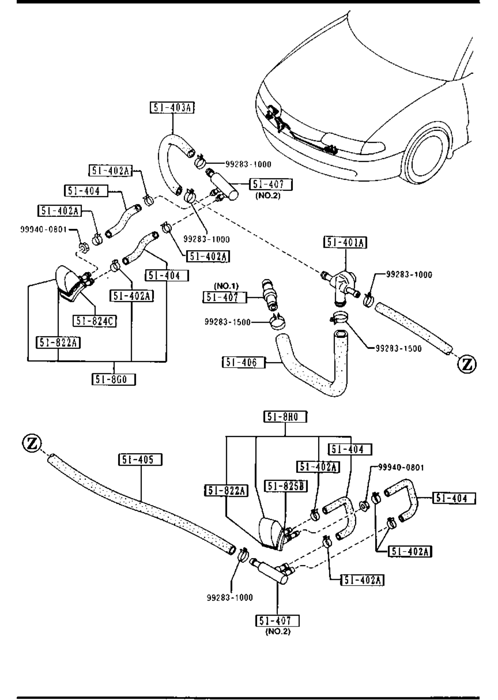 image1.gif