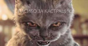 KASTRO.jpg