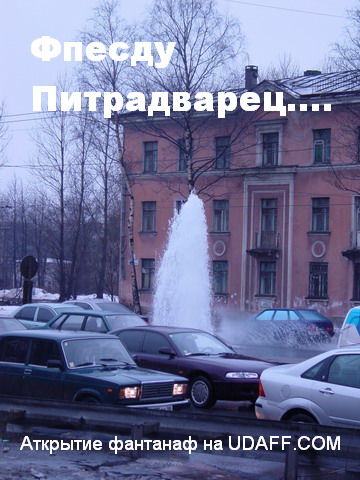22257.jpg