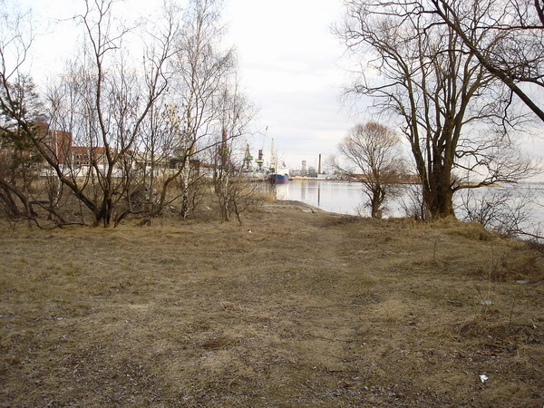 DSC03230m1.jpg