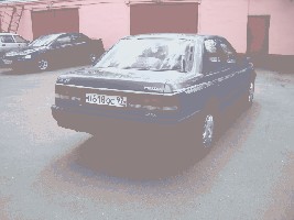 CIMG0131.JPG