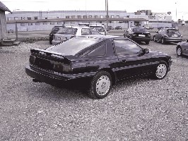 3405093[1].jpg