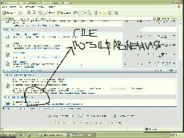 .JPG