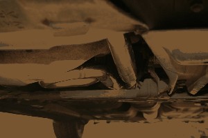 IMG_2071.jpg