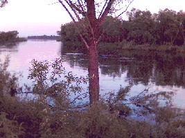 (24).jpg