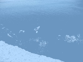 041.jpg