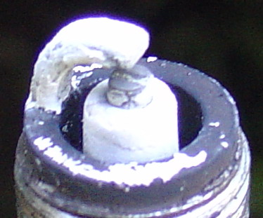 DSC017482.jpg