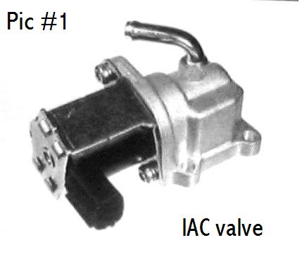 IAC.jpg