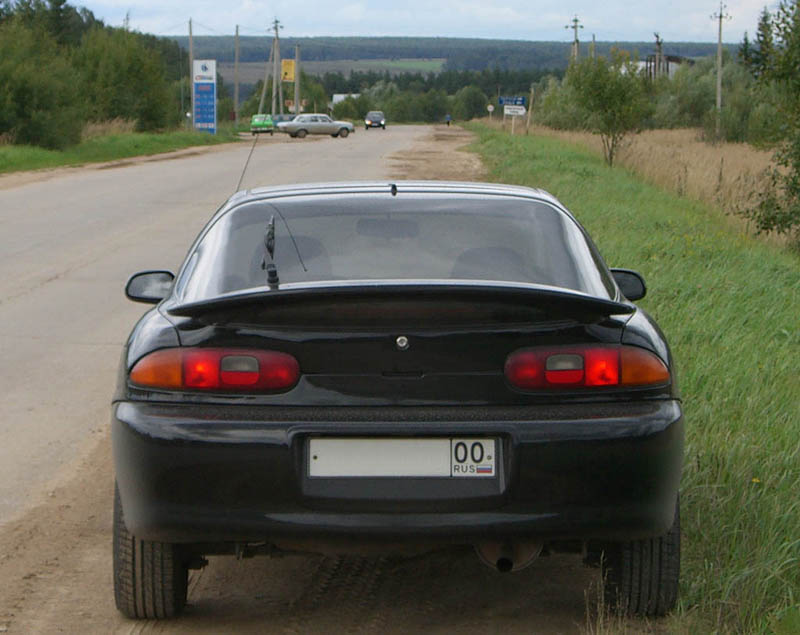 back2.jpg
