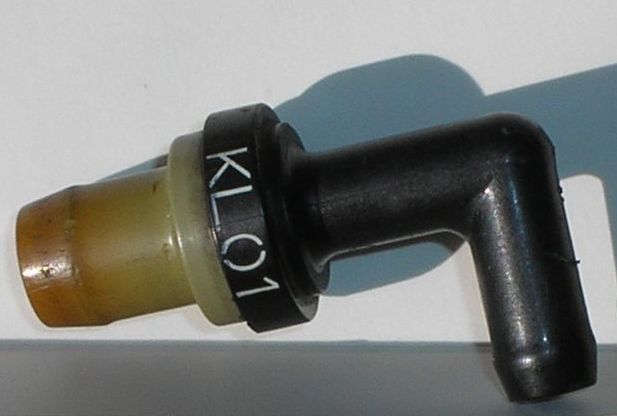 PA270040.JPG