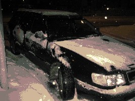 IMG_0305.jpg