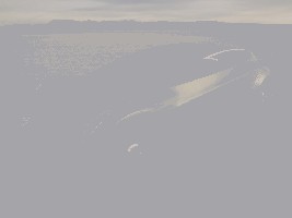 113365.jpg