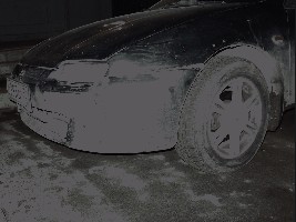 morda-01.jpg