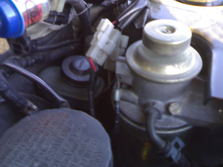 25122006149.jpg