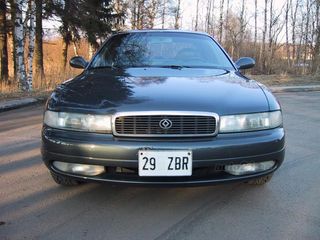 6177609.jpg