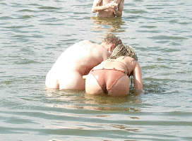 Untitled-1.gif