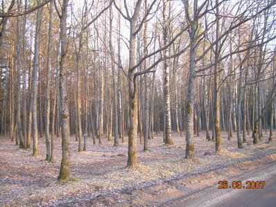 DSCN0281.jpg