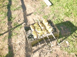 IMG_0172_1.JPG