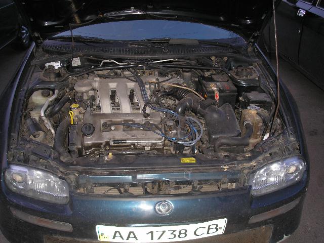 P4110086.JPG