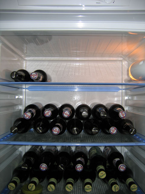 pivo.jpg