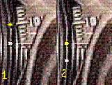 .GIF
