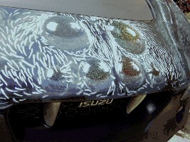1182789737.jpg